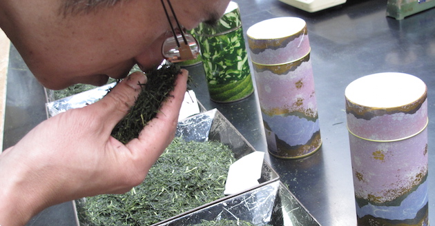 鹿児島製茶の茶葉検査の写真